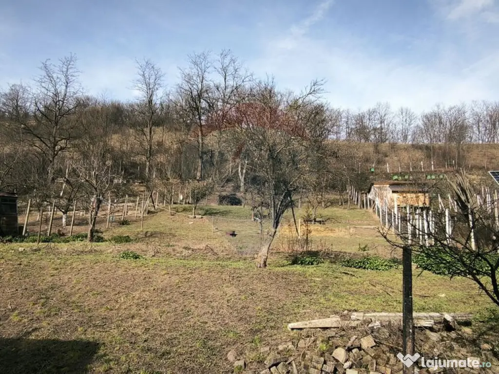 Casă la țară in Transilvania - sat sasesc Păucea, jud...