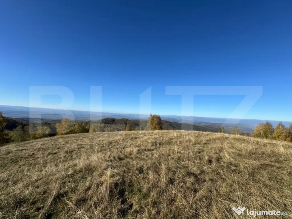 Teren extravilan 54.722 mp in Târsa