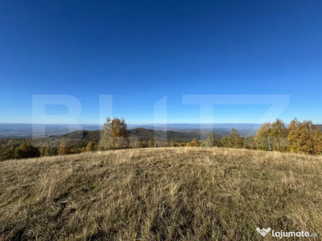 Teren extravilan 54.722 mp in Târsa