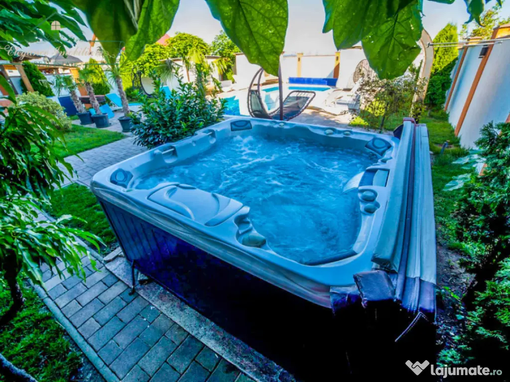 Vilă cu 5 camere, piscină și 805 mp teren, zona Vladimire 