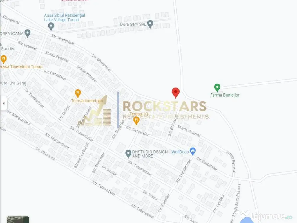 Teren | Tunari | 15000 mp 