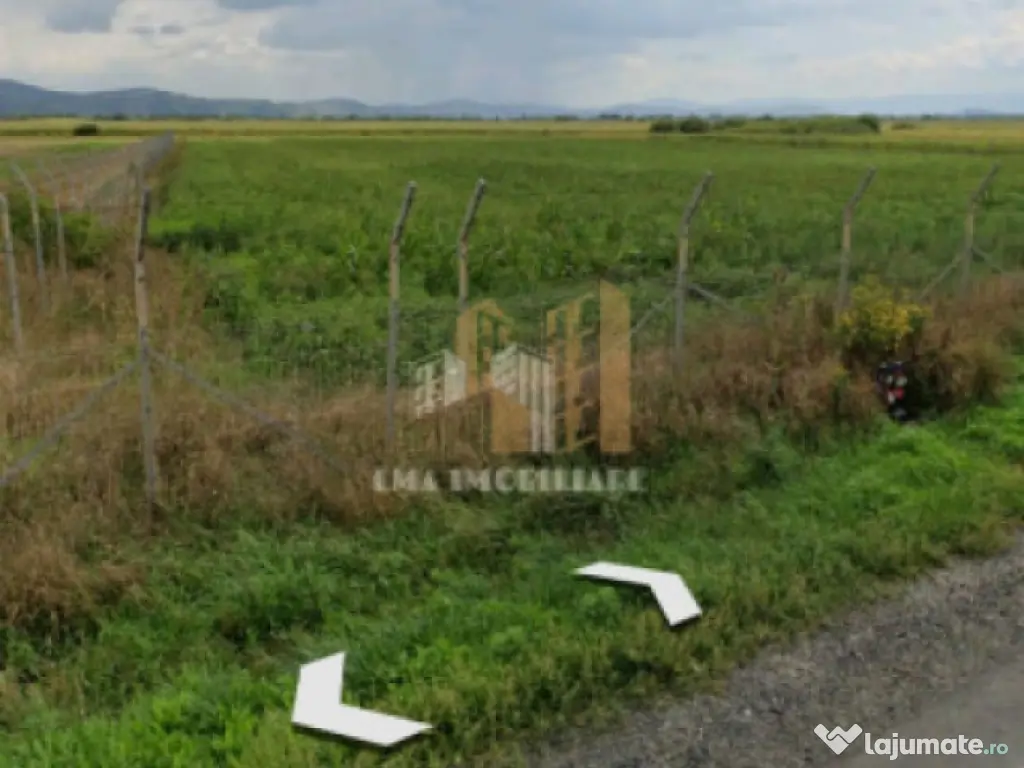 Teren intravilan industrial DN 13 Calea Feldioarei Brasov