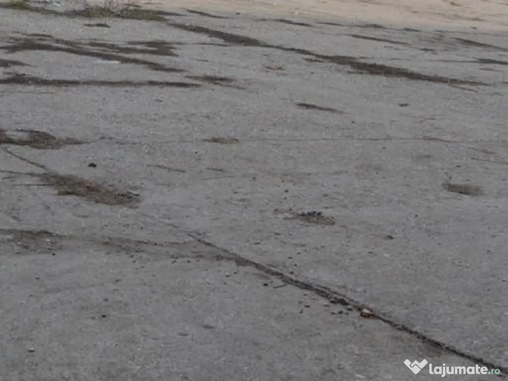 Hala 536mp Autorizata ISU 