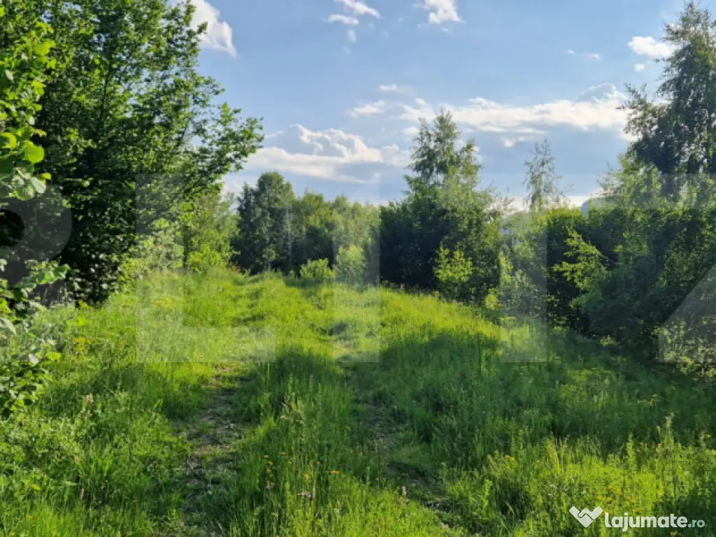 11,5 ha teren extravilan pe Trans Apuseana – cu izvor și