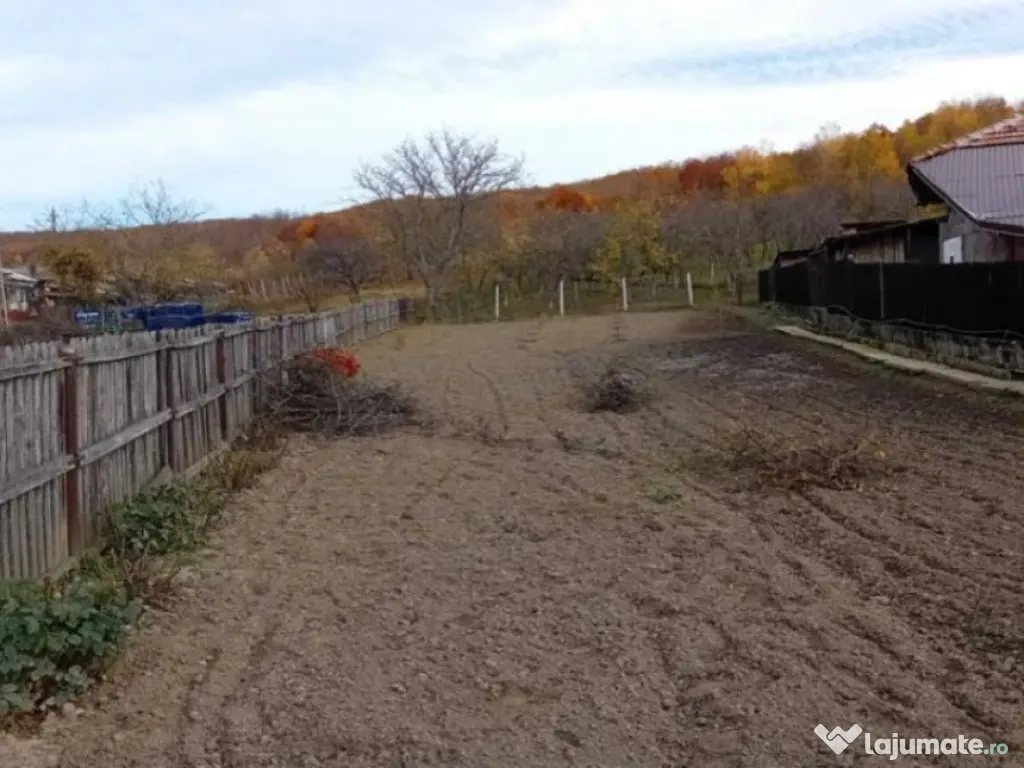 Teren intravilan- Com. Calinesti, jud. Arges 