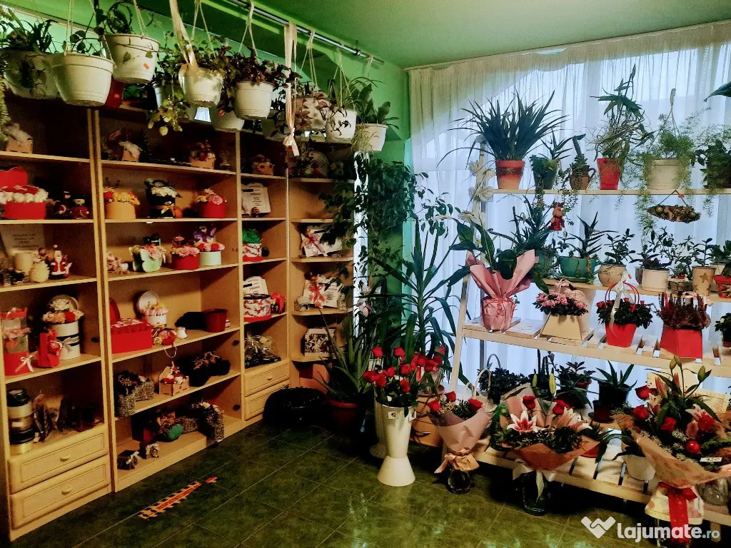 Casă de vânzare în Cristur – Str. Ulița Mare nr. 43 