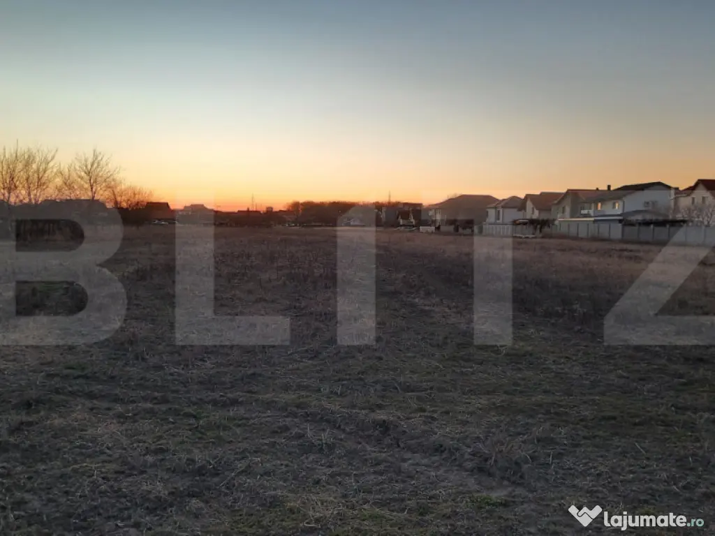 Teren extravilan, 13726 mp, zona Mehala