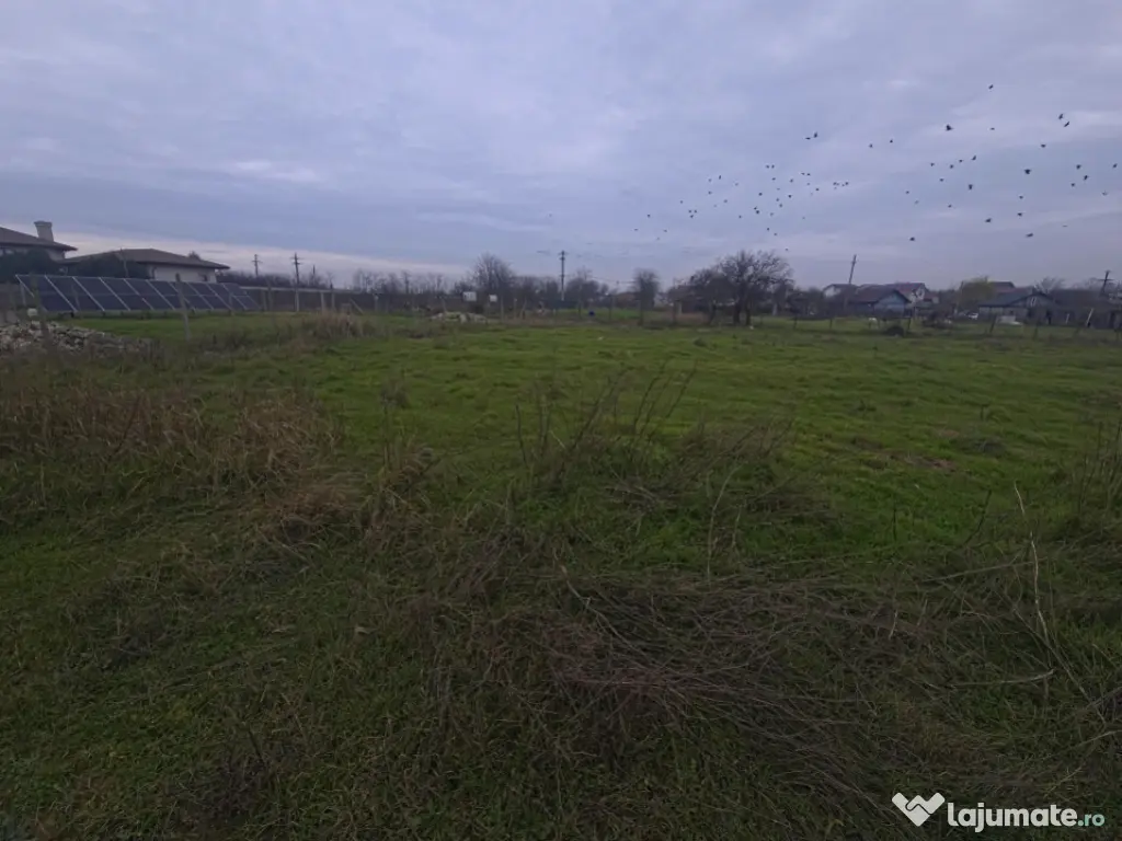 Teren intravilan 509 mp Techirghiol