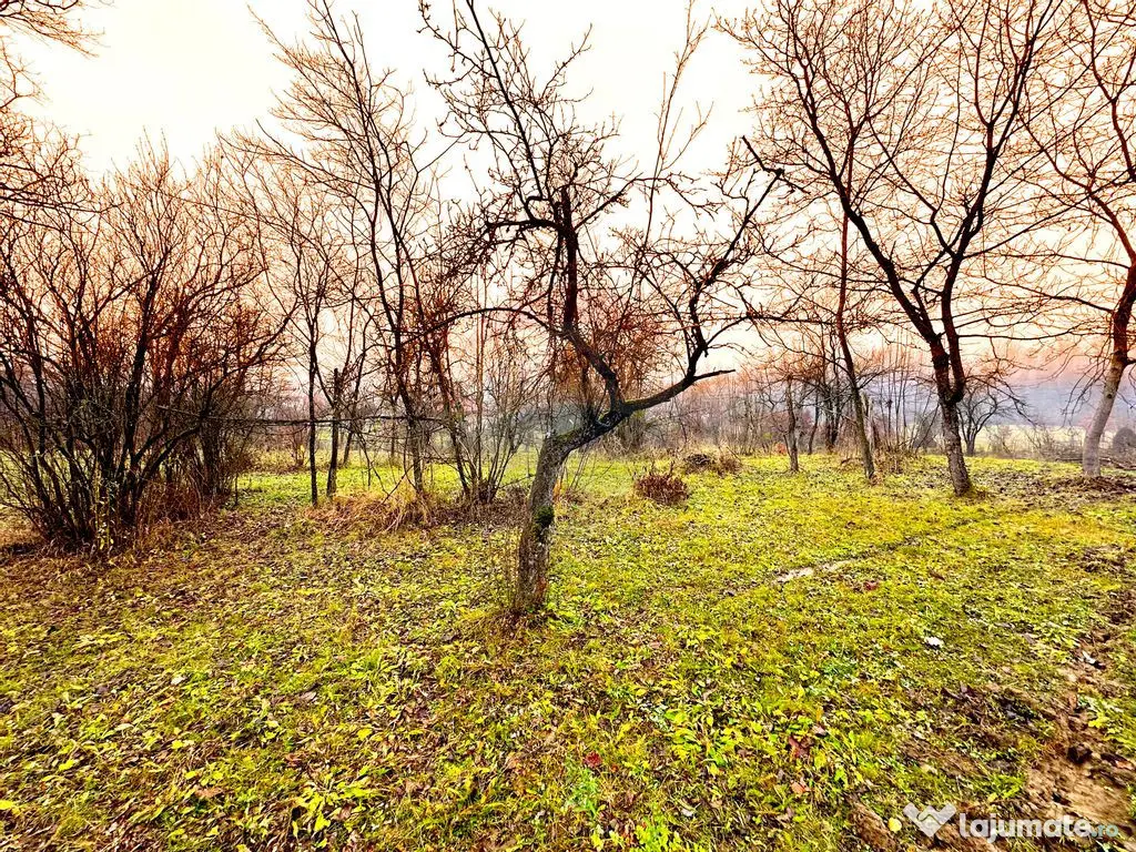 DE VANZARE LOCATIE SUPERBA 