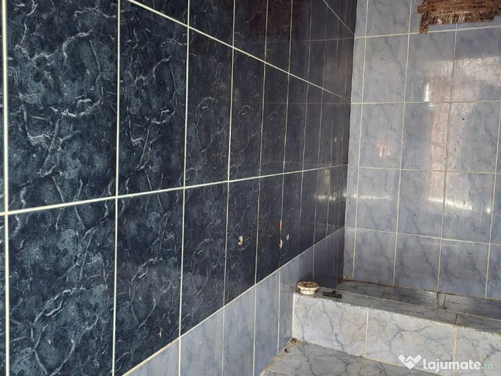 Casa de vanzare in Branisca 