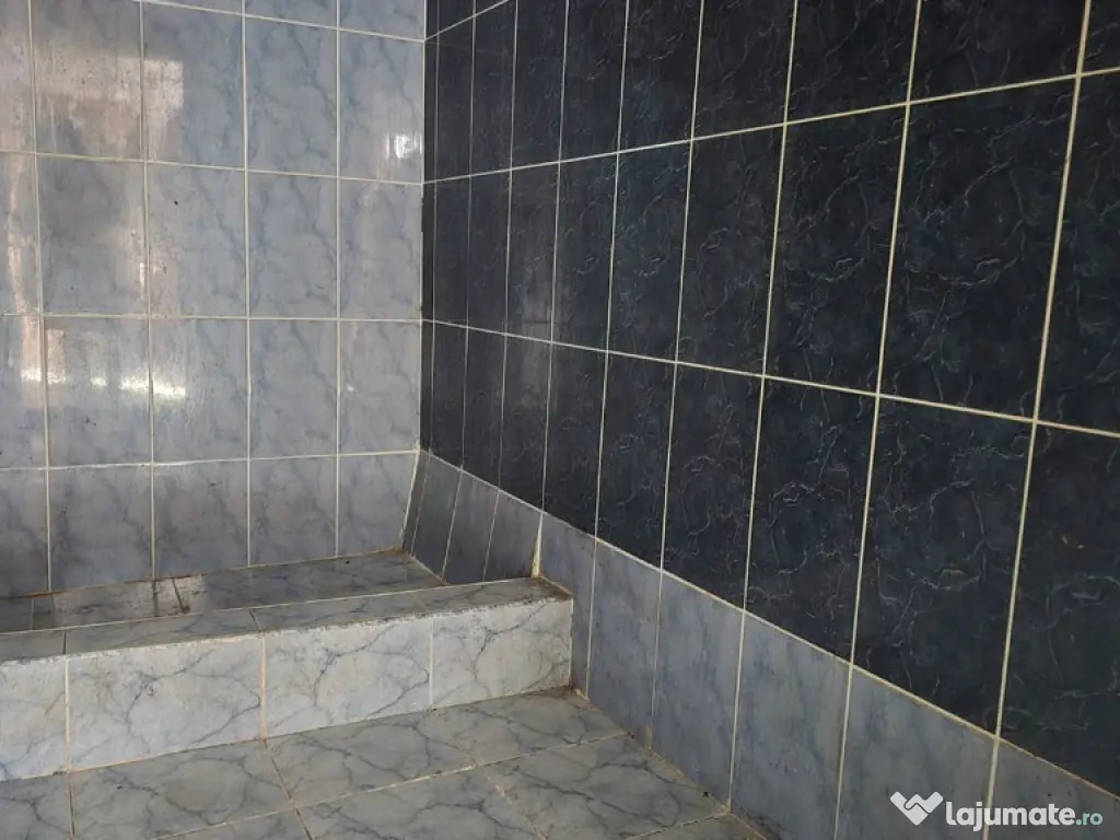 Casa de vanzare in Branisca 