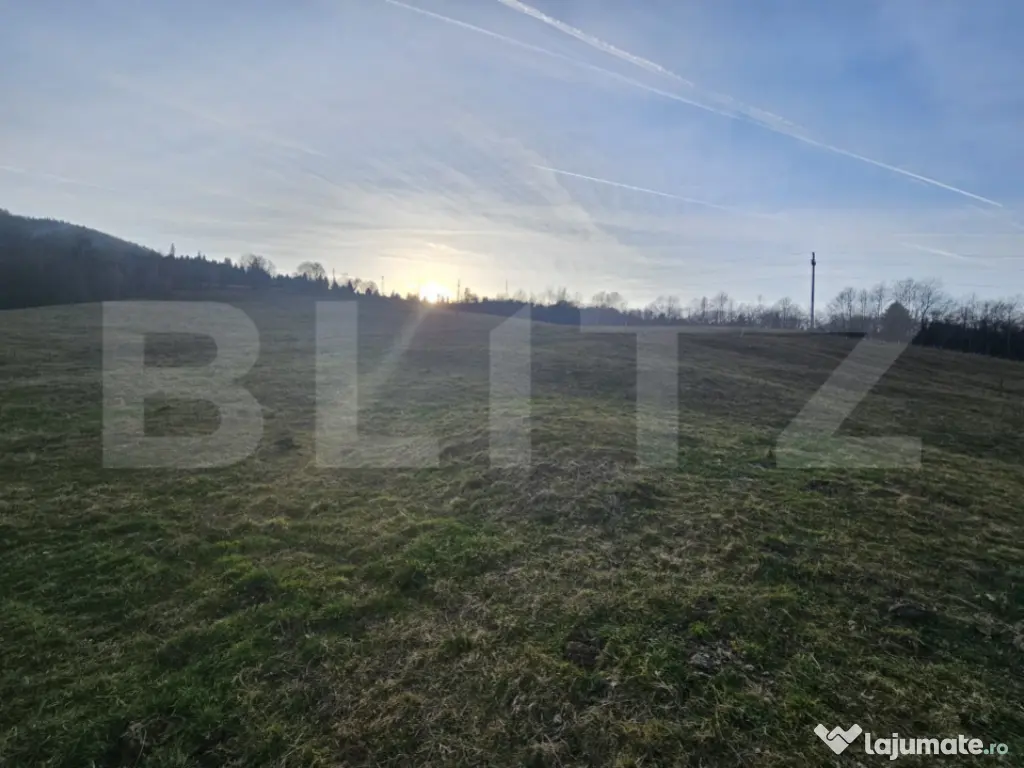 Teren intravilan de 16667 mp, Sosea de Centura, Abrud