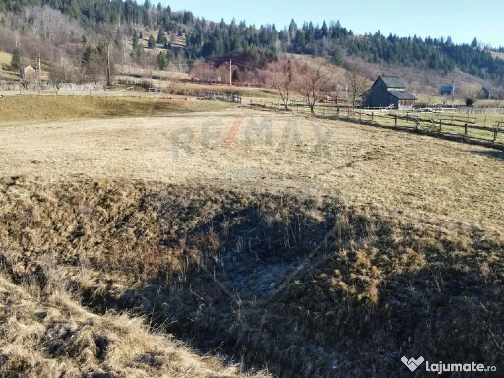 Teren de vanzare Vatra Moldovitei BUCOVINA 