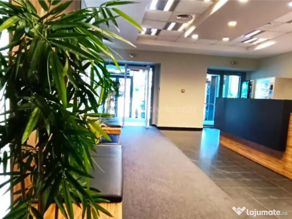 Spatiu Comercial Grozavesti - Parter Riverside Tower 