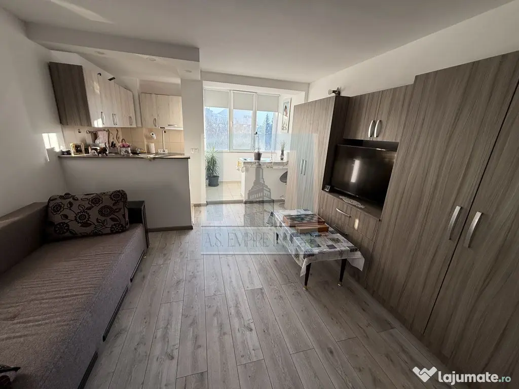 Garsoniera mobilata/utilata - zona B-dul Victoriei