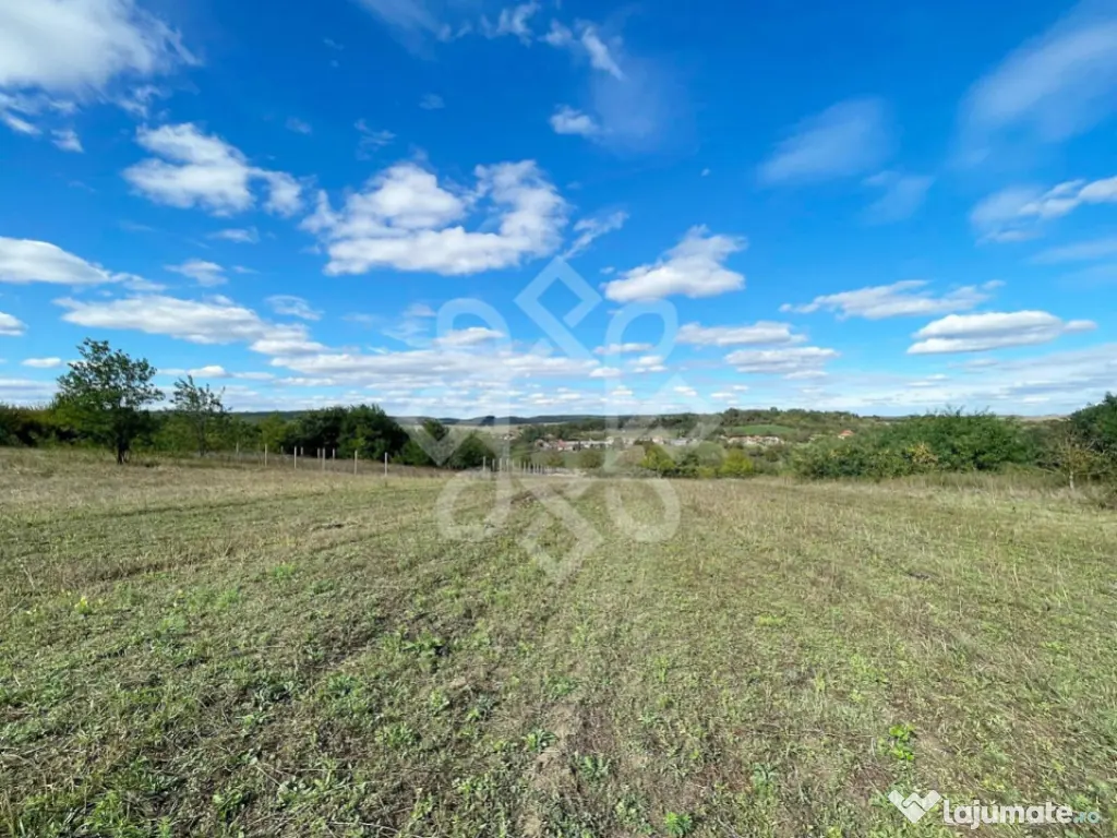 Teren intravilan 5995 mp in Hidiselu de Sus