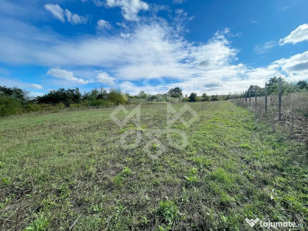 Teren intravilan 5995 mp in Hidiselu de Sus 