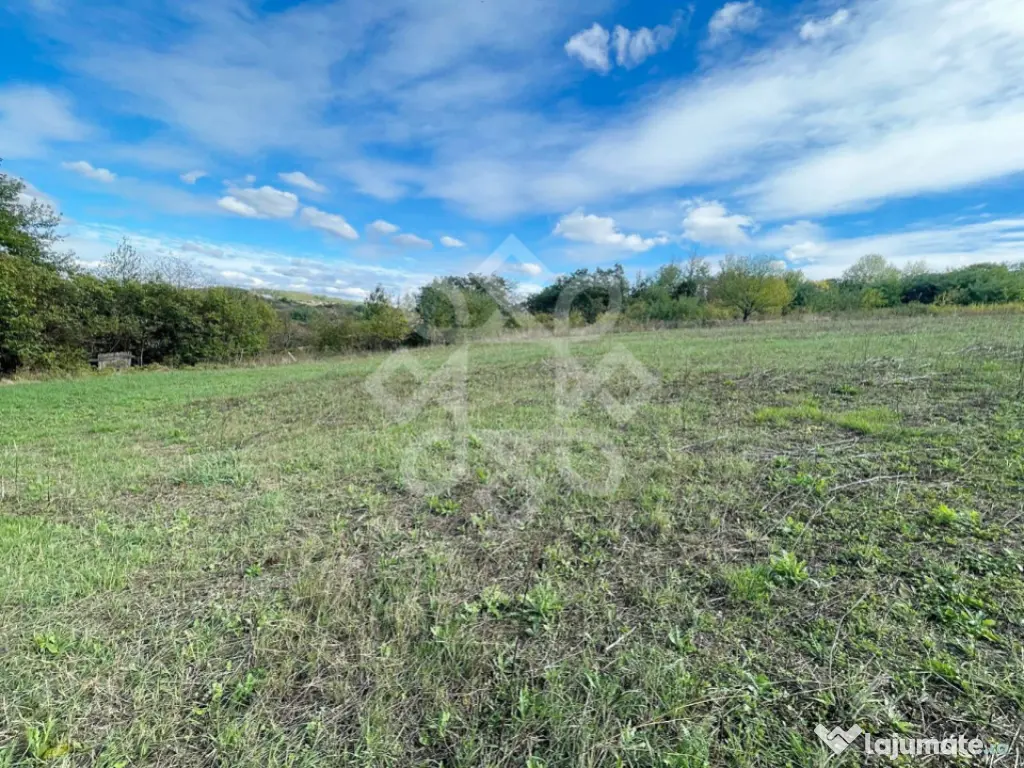 Teren intravilan 5995 mp in Hidiselu de Sus 