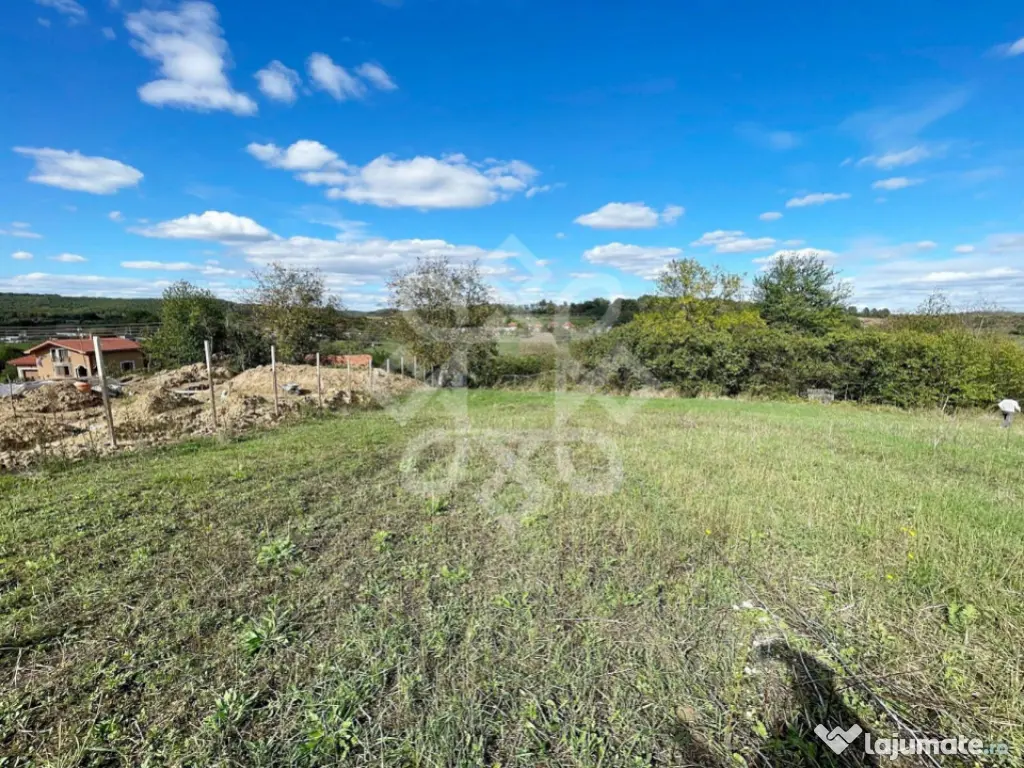 Teren intravilan 5995 mp in Hidiselu de Sus 