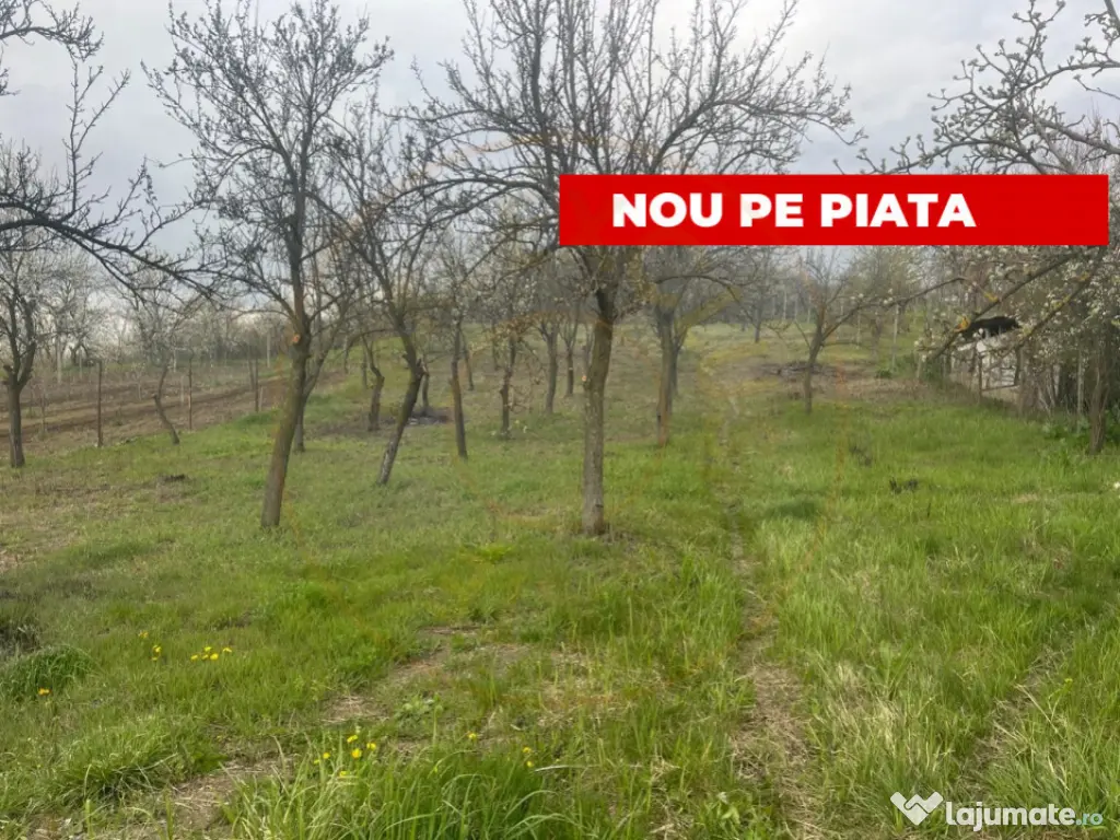 Teren intravilan 2.200 mp cu constructie existenta –Caline