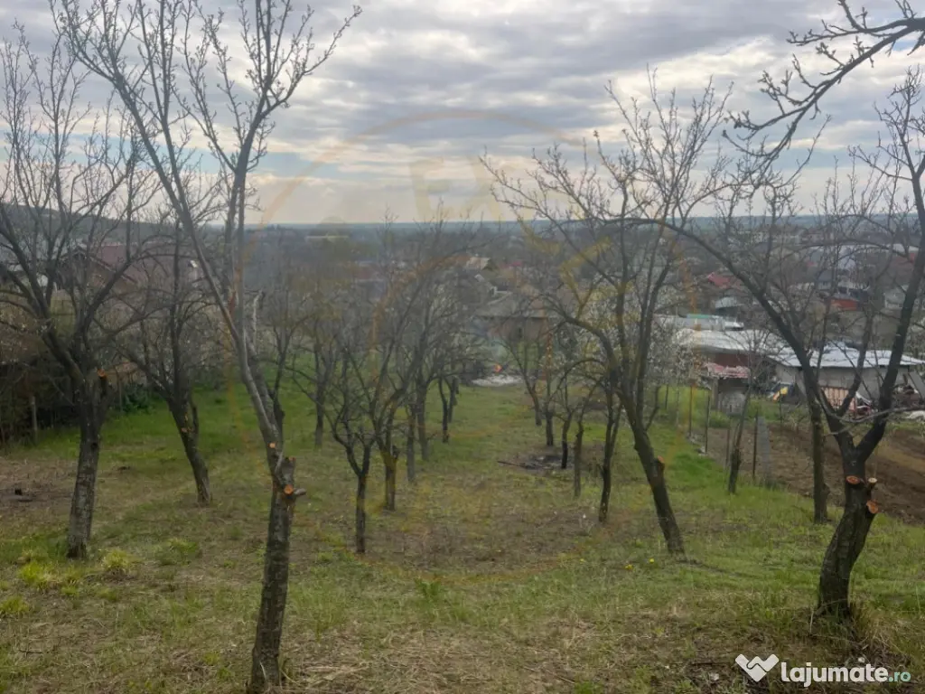 Teren intravilan 2.200 mp cu constructie existenta –Caline