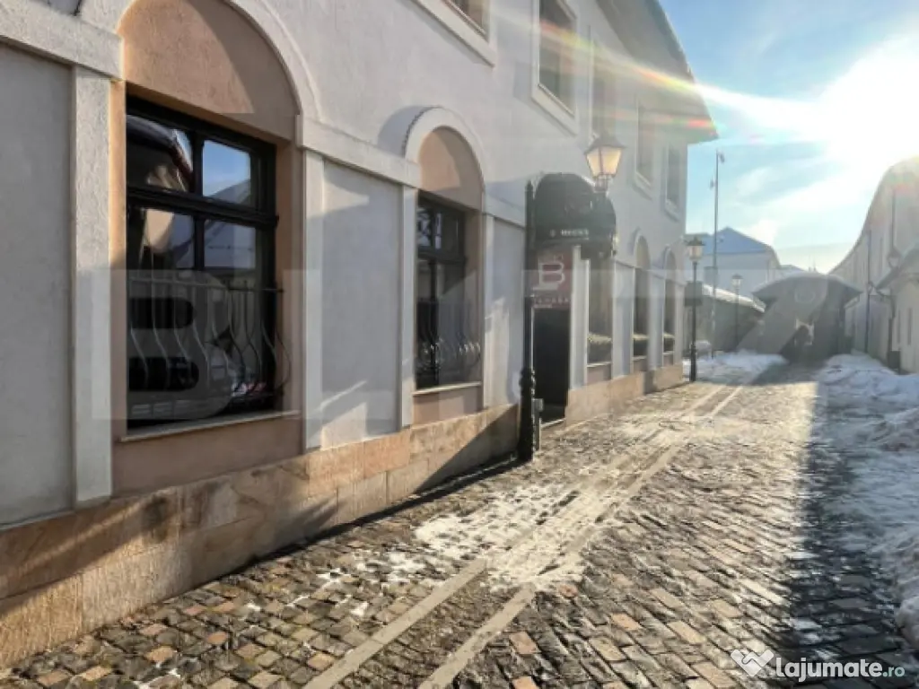 Investiție Premium: Bistro, Casă și Birouri în Centrul I