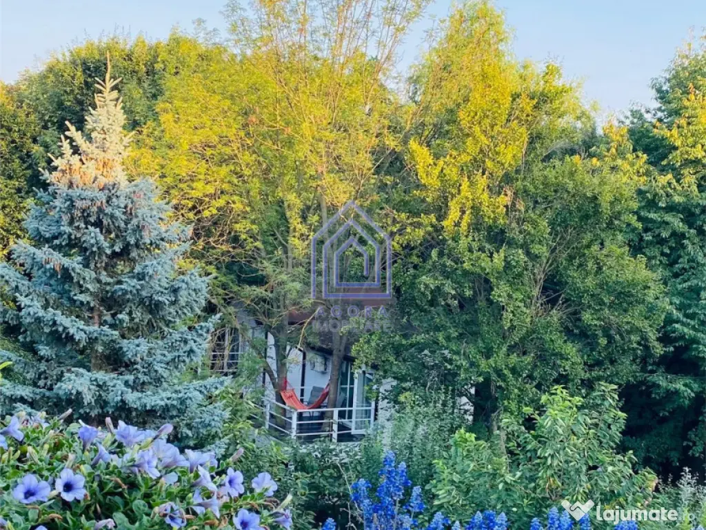 Teren central de vânzare 