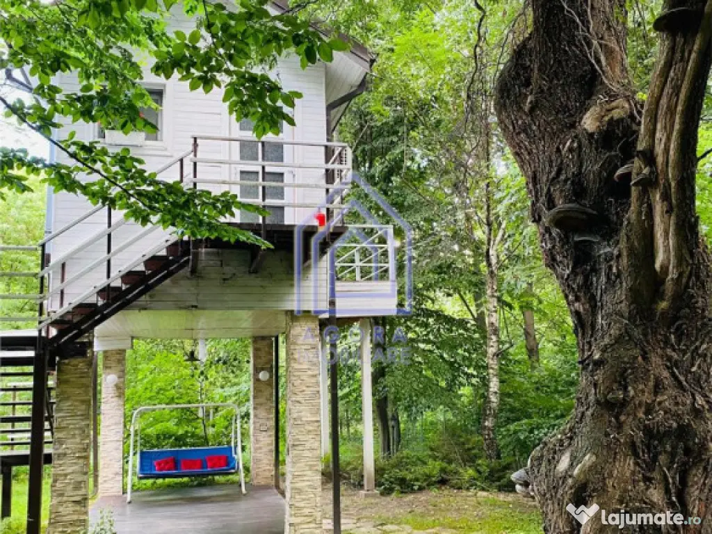 Teren central de vânzare 