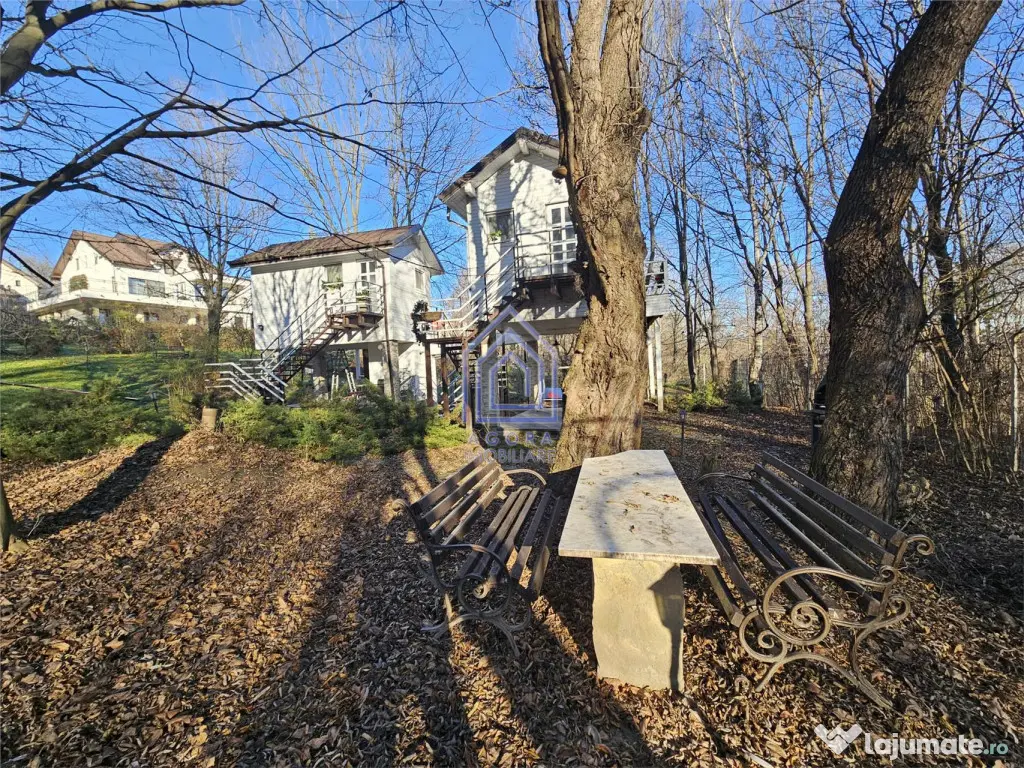 Teren central de vânzare 