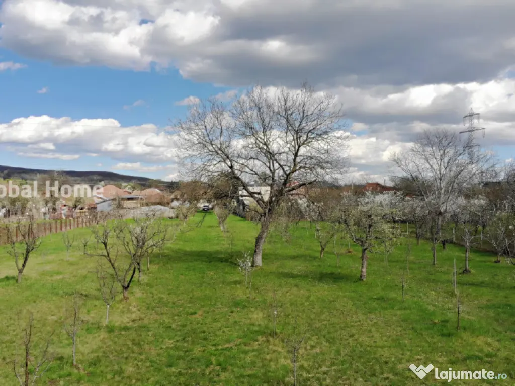 4898 MP Teren Intravilan | Prahova - Cornu De Jos | Toate Ut 