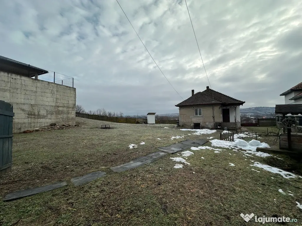 Casa la rosu+teren ST:1800 mp*Pestisu Mare-Deva-Hunedoara+casa veche! 