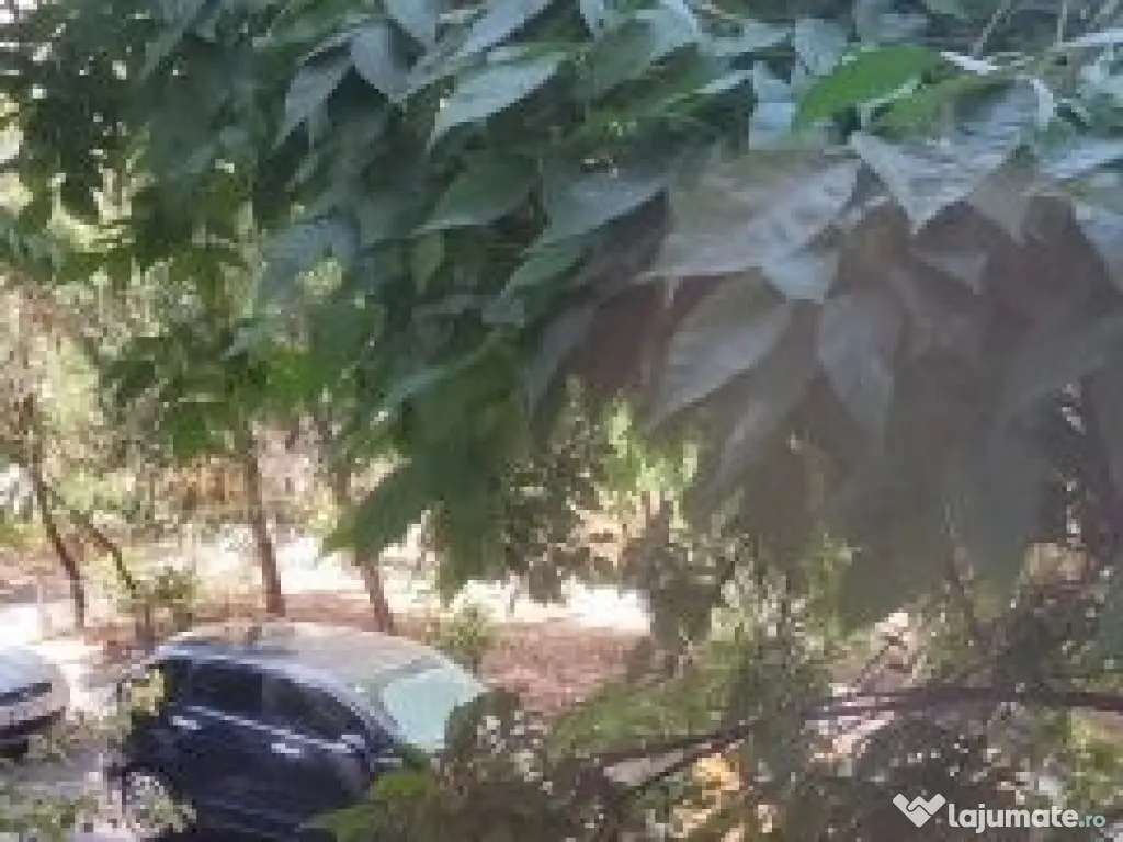 Apartament 3 camere, etaj 1 - zona Colentina, str. Radovanu 