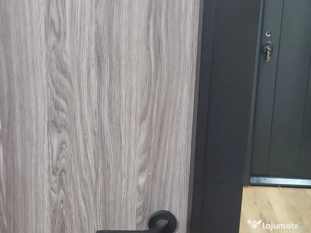 Usa metalica apartament ArtaDoor 1300 Lei 