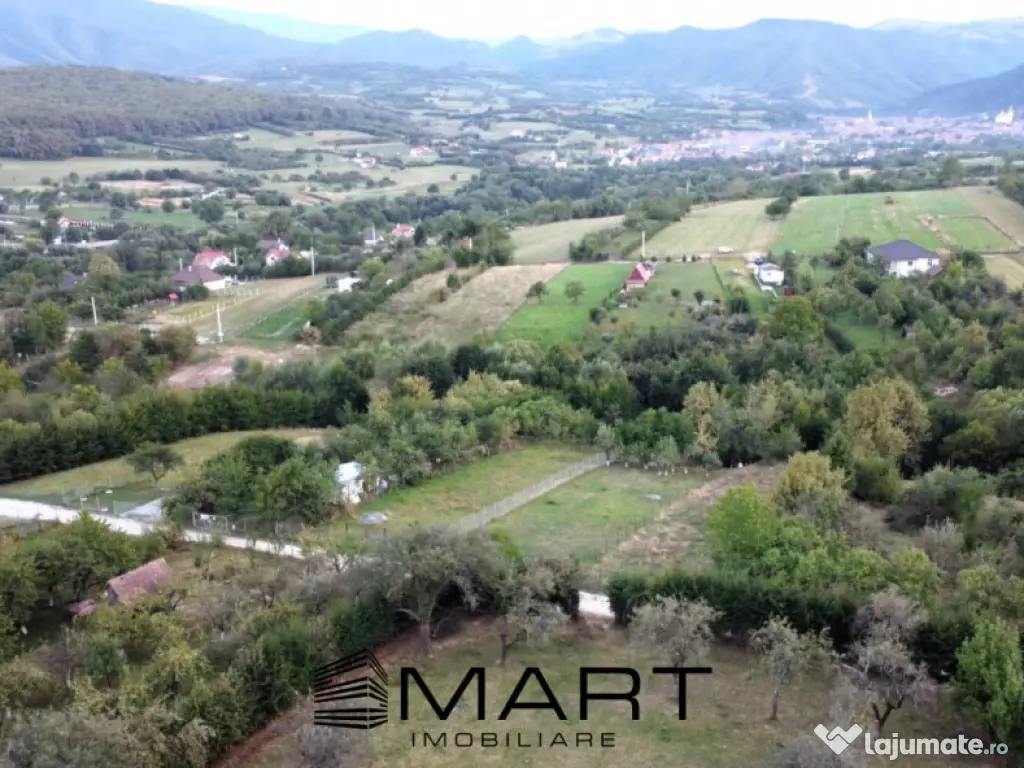 Teren intravilan 1000mp Tropinii Noi 