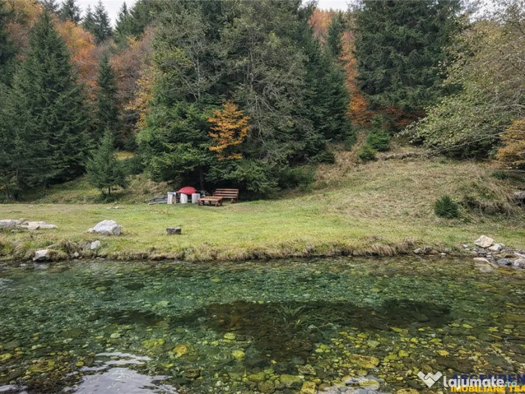 Teren intravilan panoramic 4.600mp,view iconic Piatra Craiul 