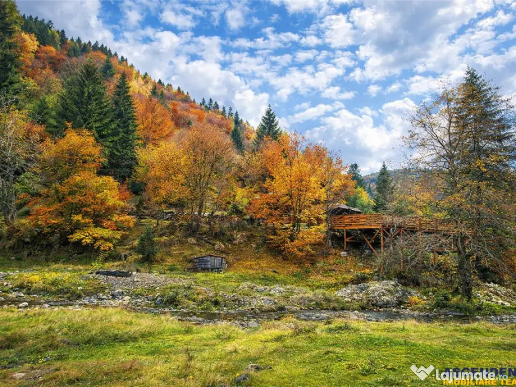 Teren intravilan panoramic 4.600mp,view iconic Piatra Craiul 