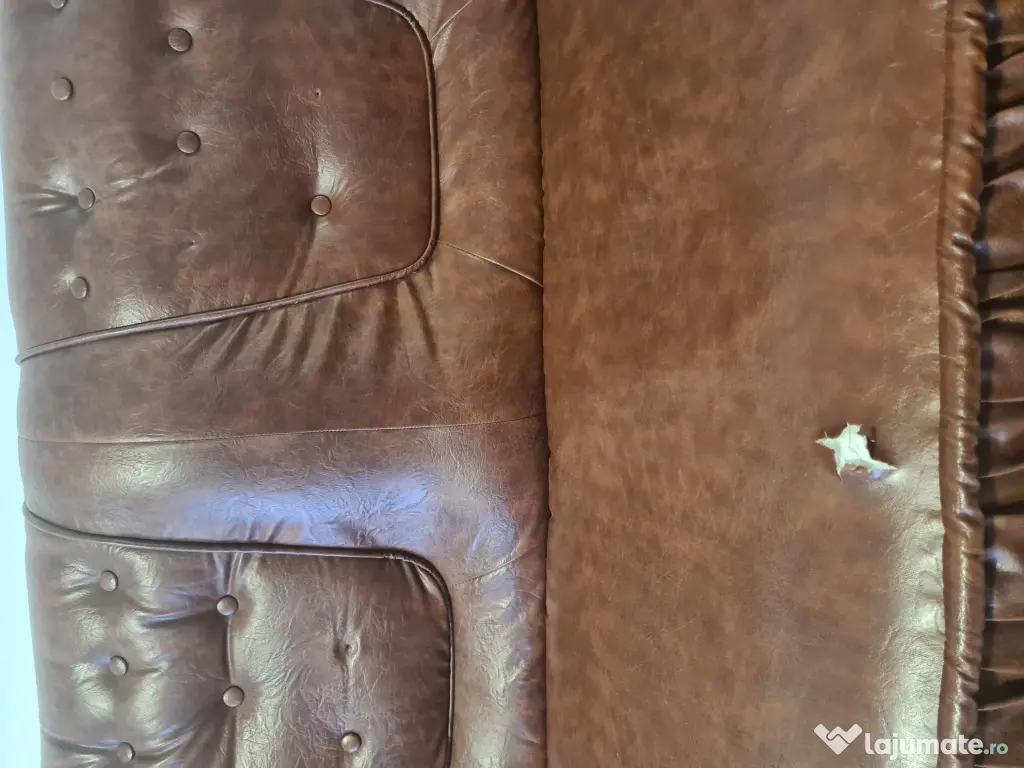 Set Canapea piele ecologică 