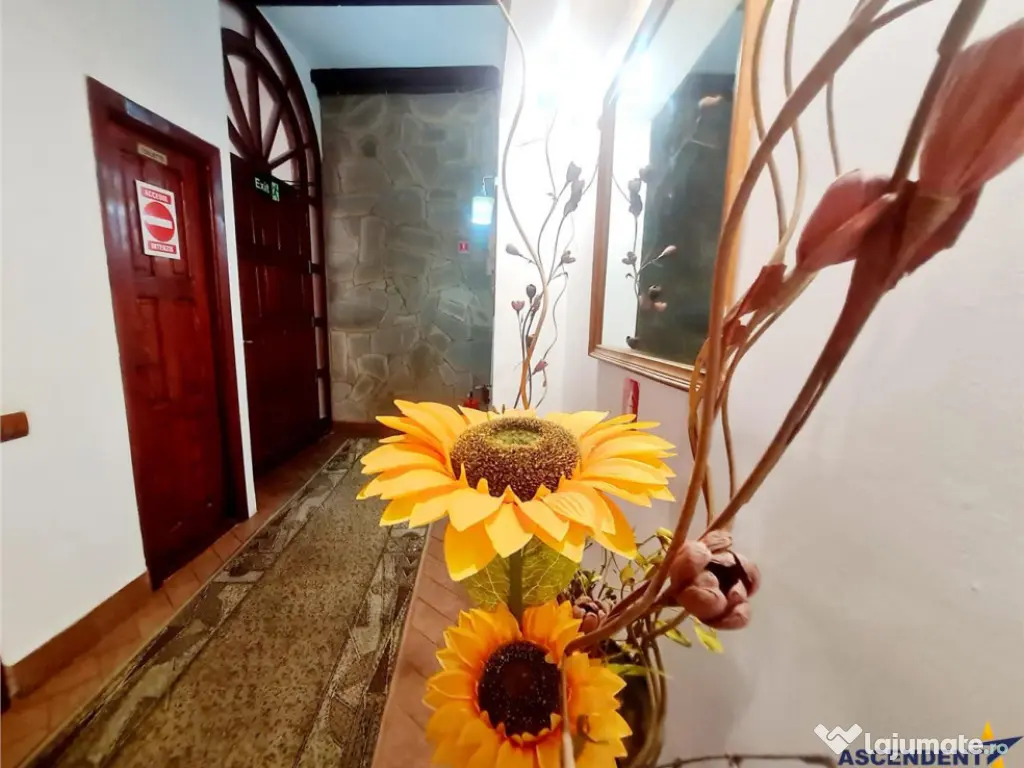 Preluare afacere pensiune administrare in regim turistic, Ce 