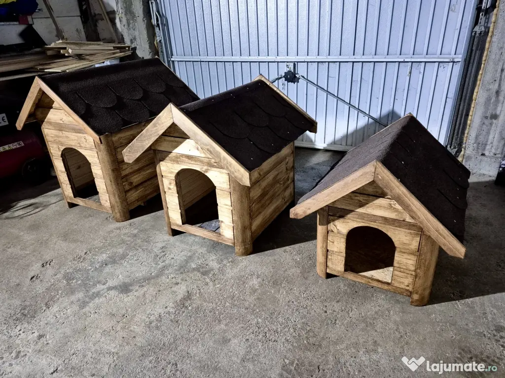 Cāsuțe pentru căței!