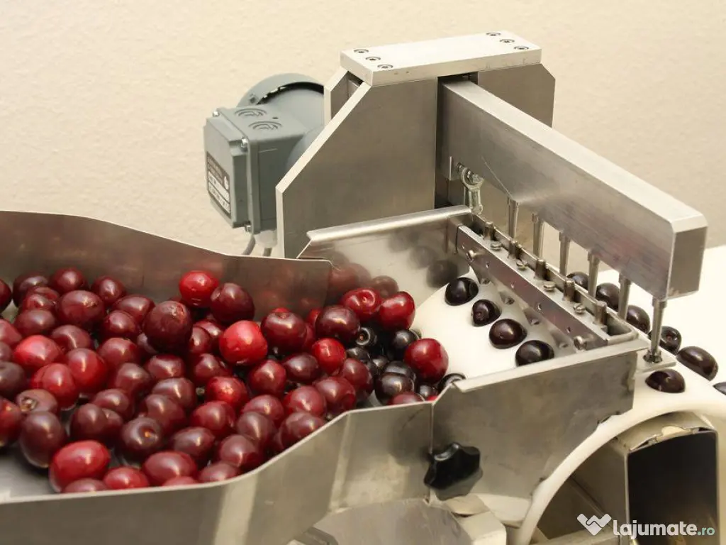 Masina automata pentru scos samburi de cirese si visine GM200