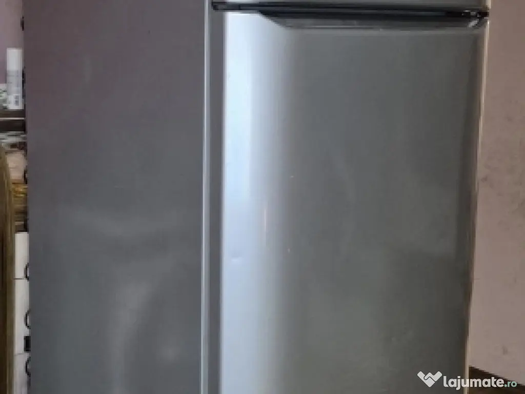 Frigider cu congelator 