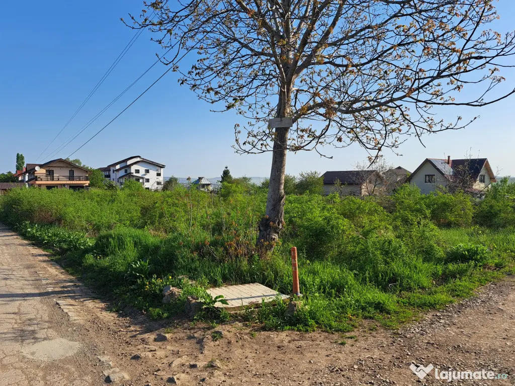 Teren de vânzare 2607 mp Vișan, com. Bârnova, lângă Ville Toscana