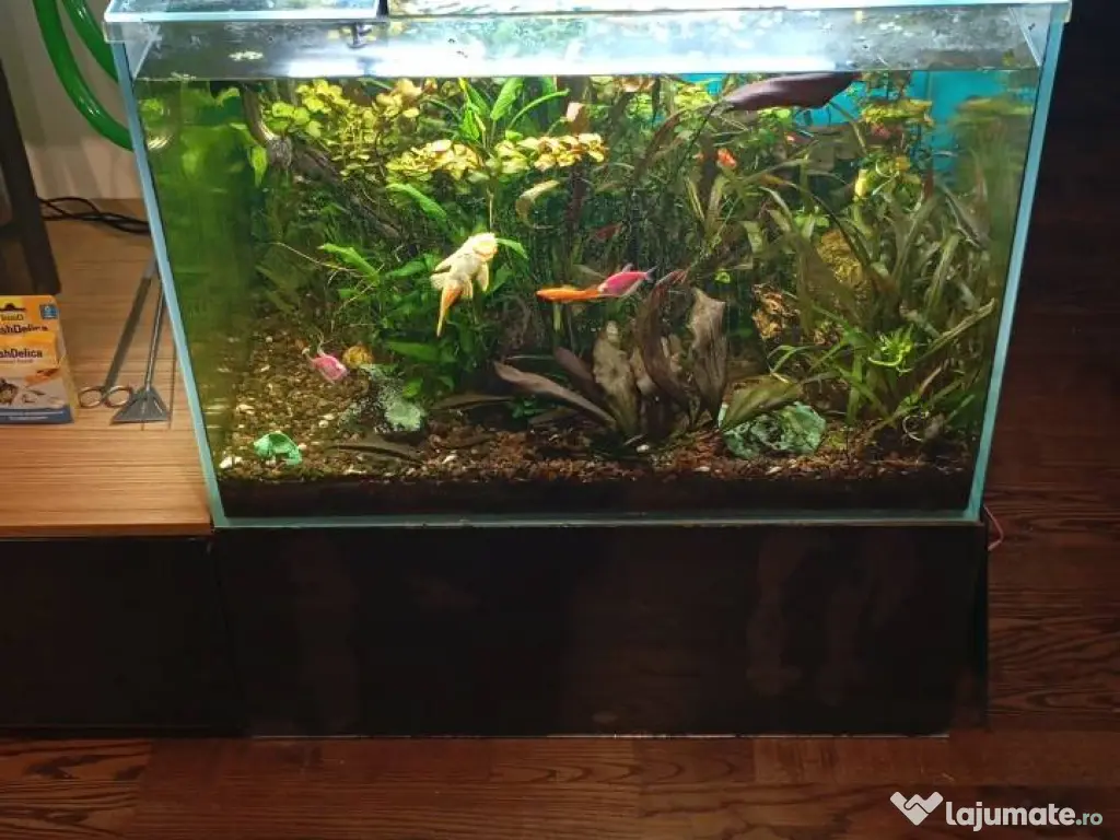 Vând acvariu 250 litri complet accesorizat 