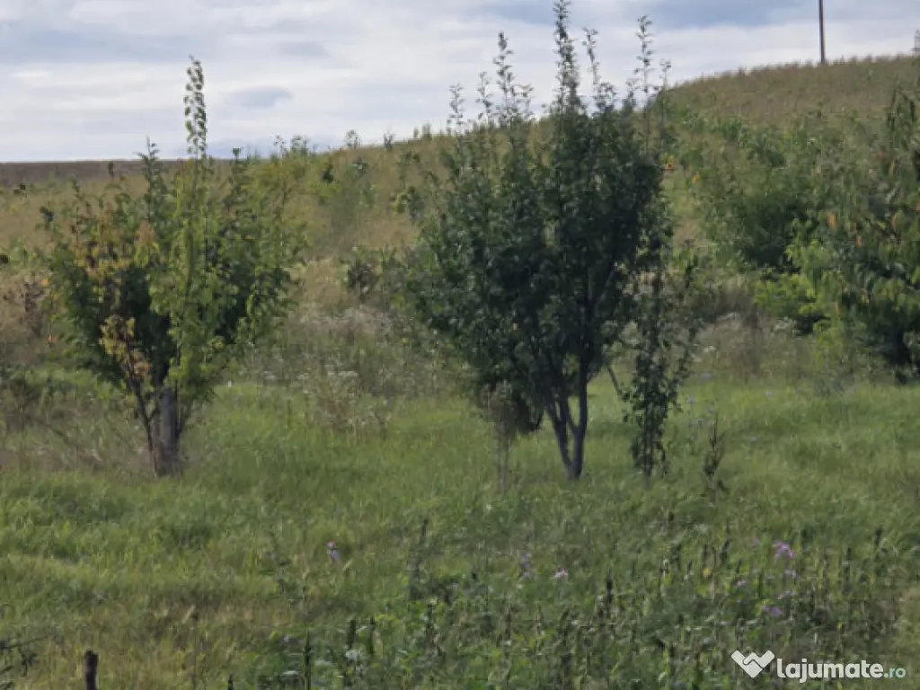 Vila ta în mijlocul naturii | Căciulești, dotări moderne 