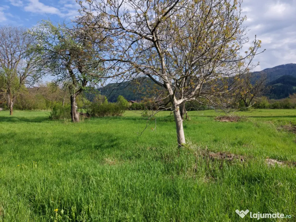 Teren splendid Vaduri cu utilități si vecini de calitate 