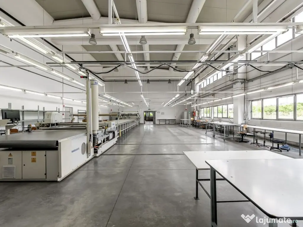 Hală de producție și depozitare cu birouri în Arad 