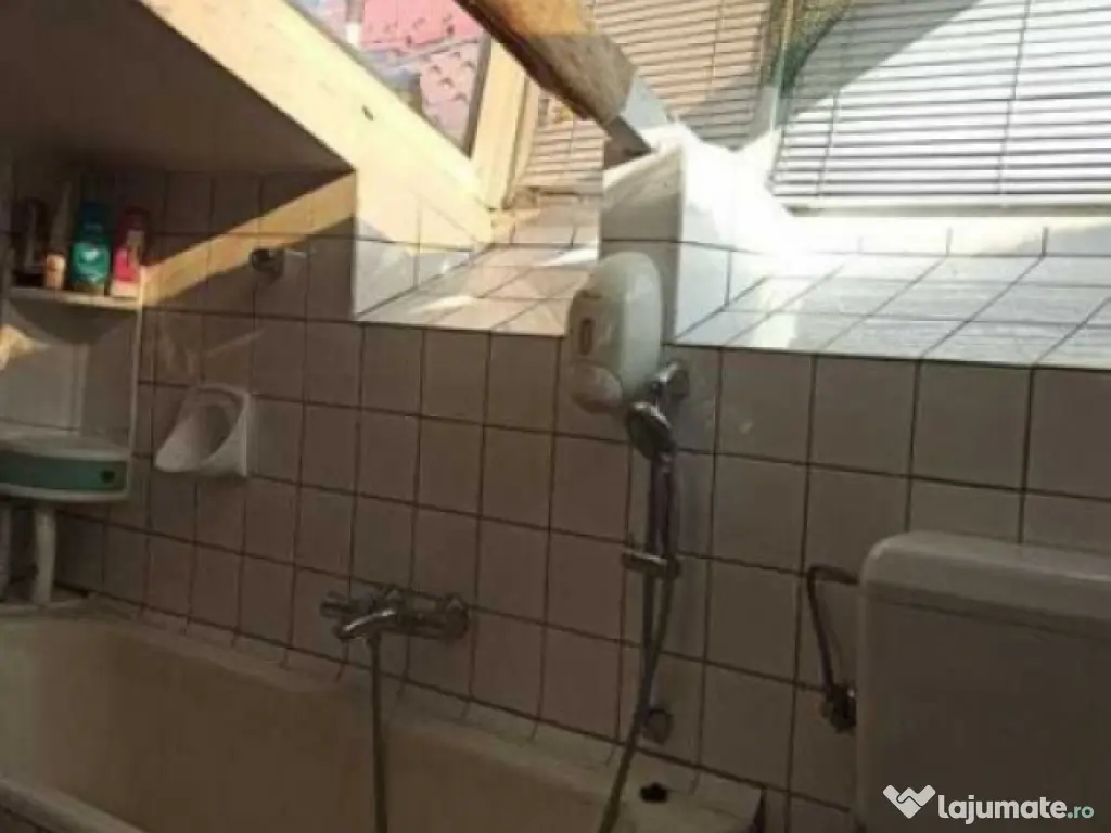 Casa individuala + curte proprie P+M, zona Panduri/Drumul Sa