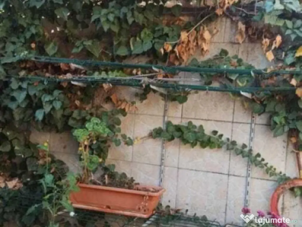 Casa individuala + curte proprie P+M, zona Panduri/Drumul Sa