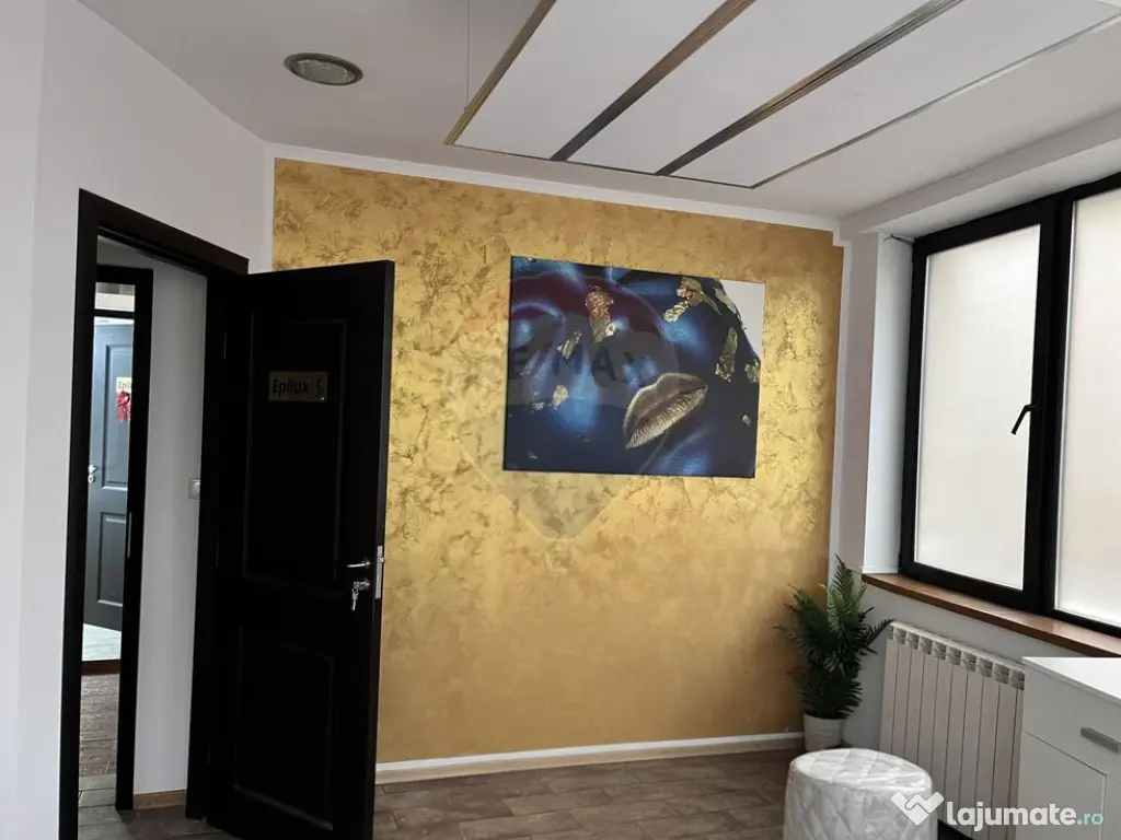 Vila de închiriat 6 camere Piata Victoriei 