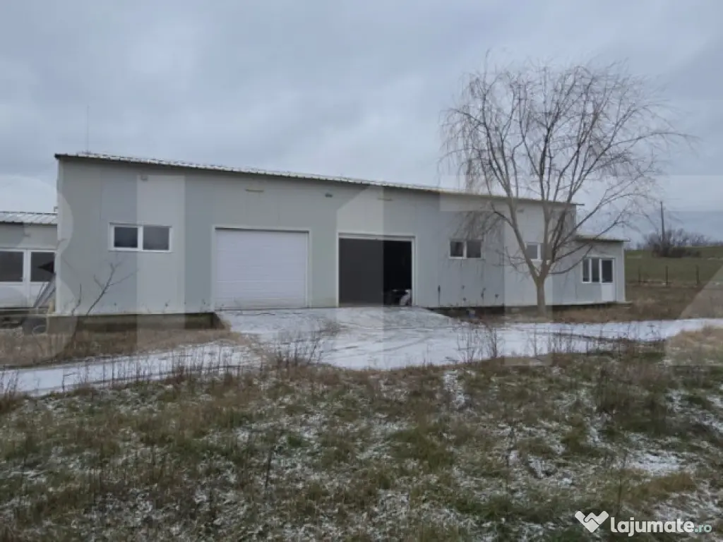 Hala industriala/comerciala, 190 mp, teren 2460 mp, Vulpeni